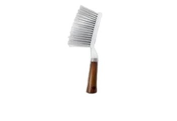 suntycarpetbrush